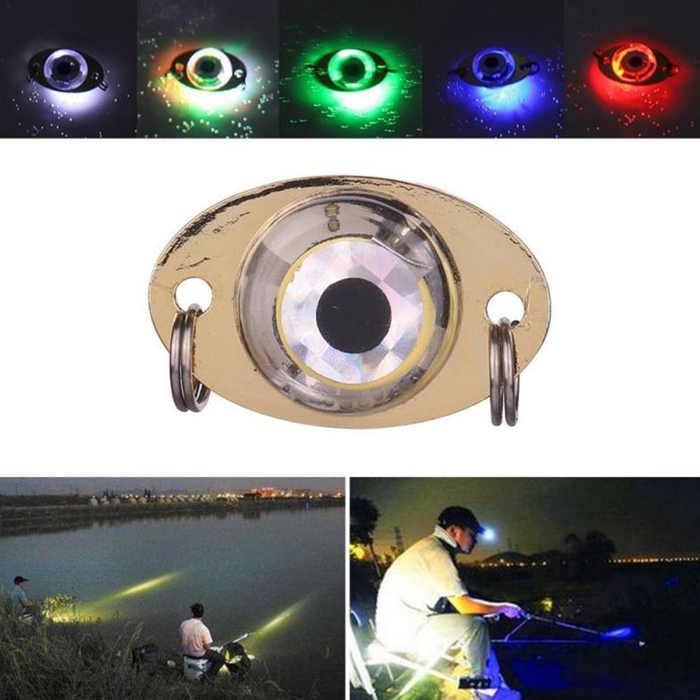 Aquarium Fish Diseases - Underwater Fishing Light Fish Gathering Group
