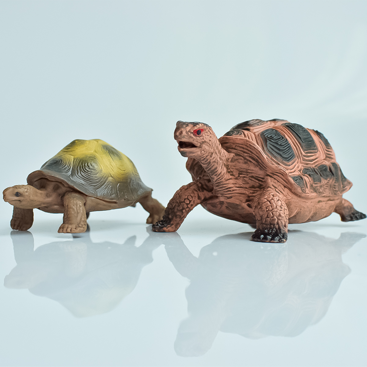 Aquarium Fish Pot - Painted Realistic Animal Turtle | Aquatic