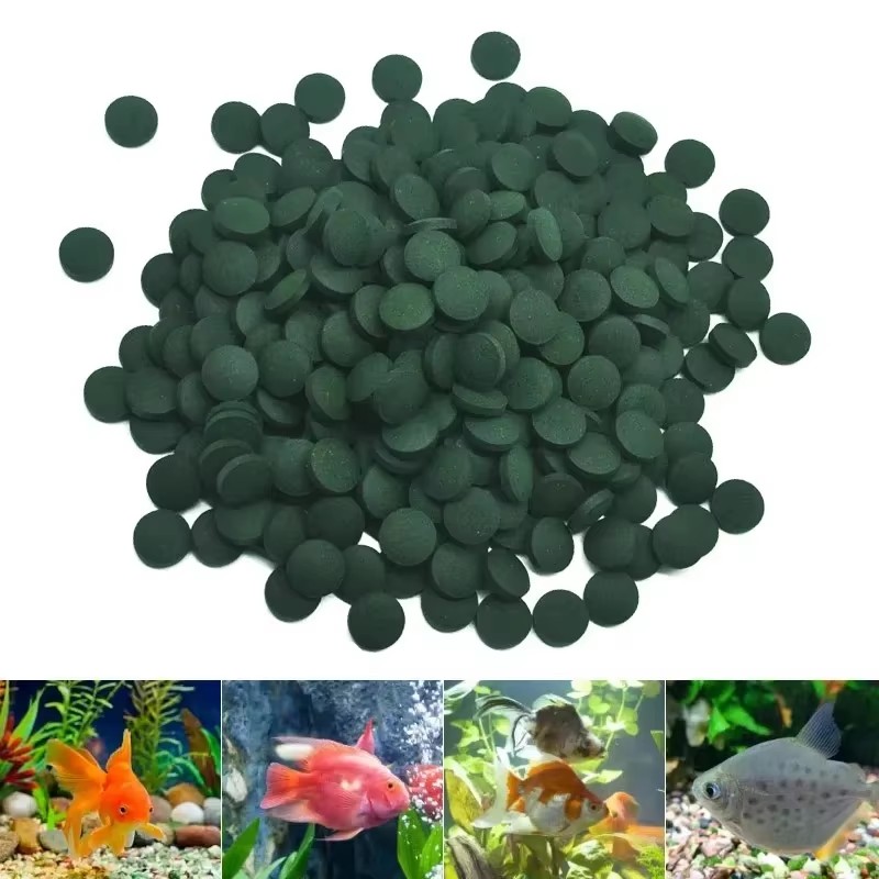 Aquarium Fish Holiday Food - 500/1000/1250PCS High Purity Spirulina Tablets Enrichment