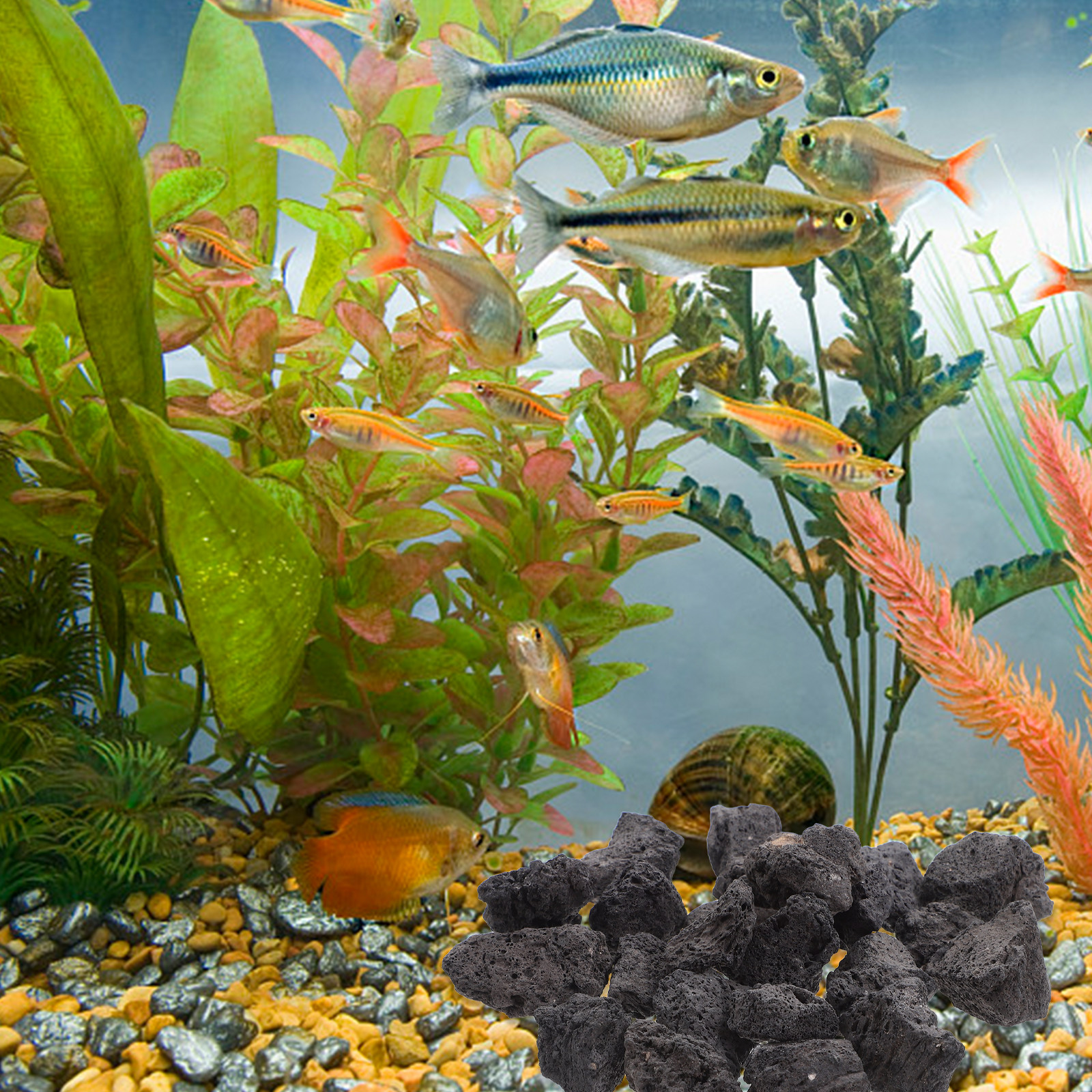 Aquarium Fish Pot - 1Pack Volcanic Stone Fish Tank Decoration