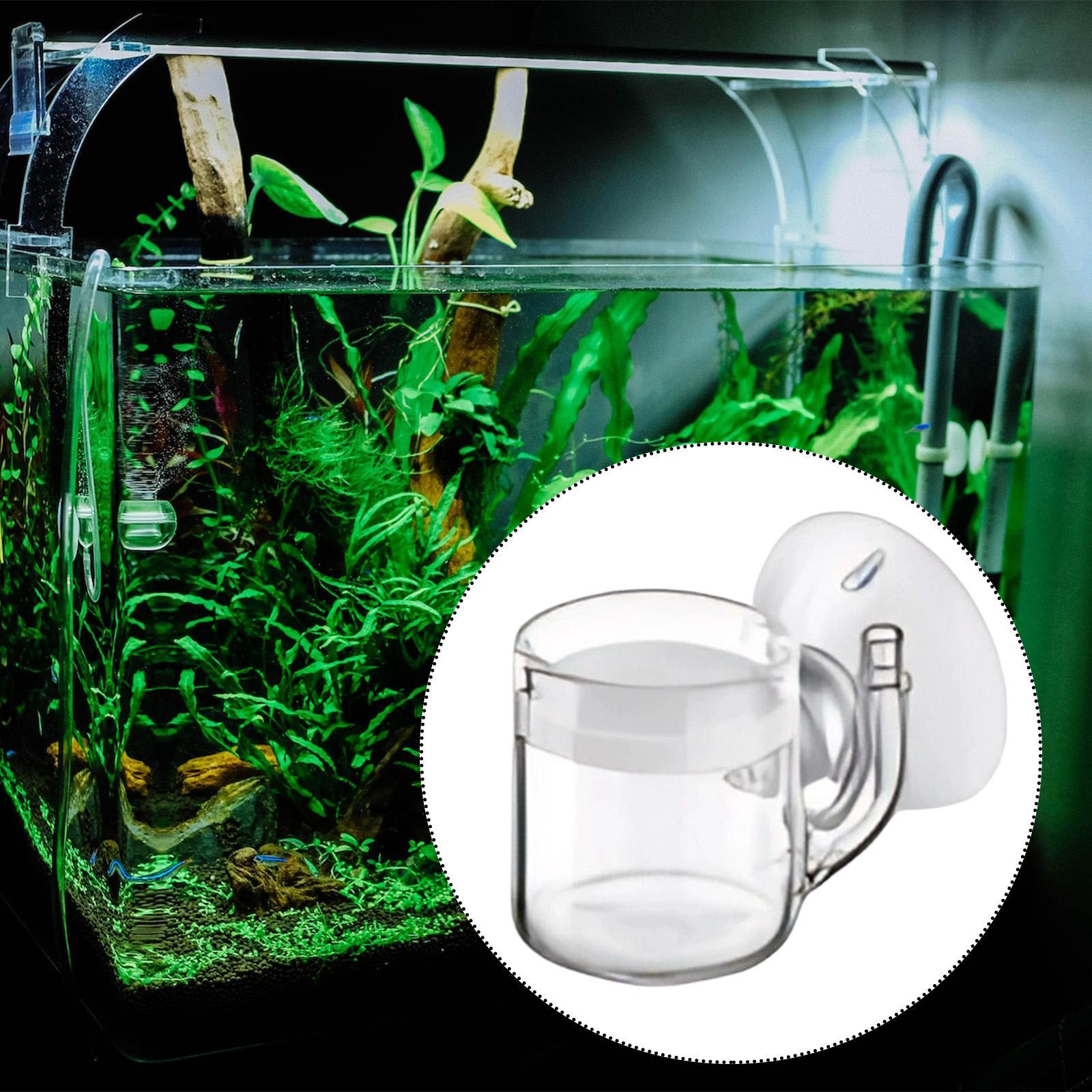 Aquarium Diffuser Glass CO2 Sy – Aquarium Fish Store recenzja i cena