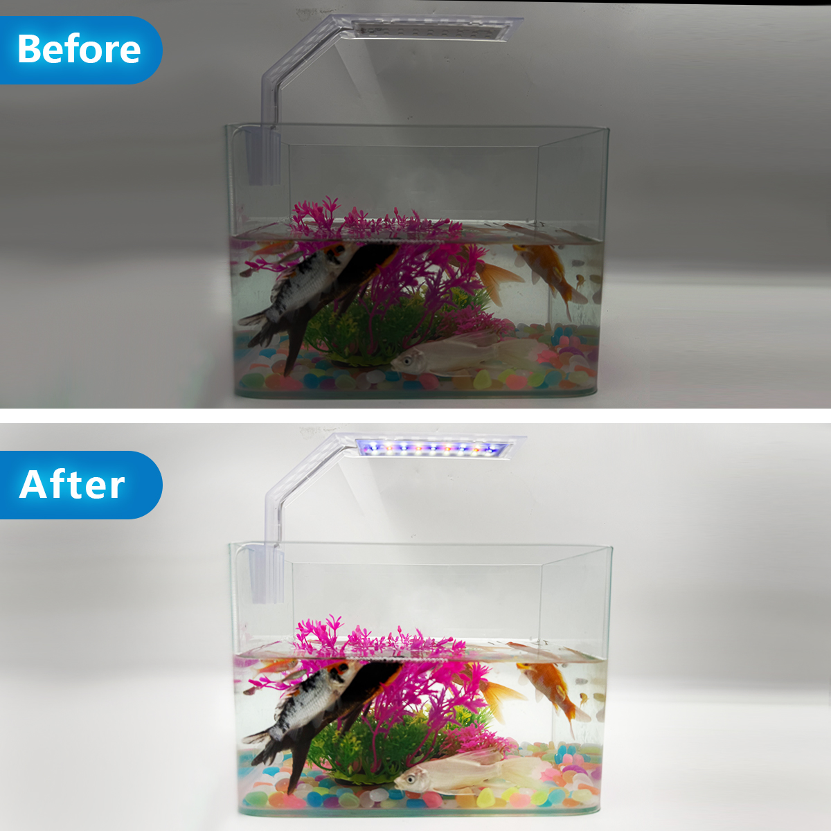 Super Slim LED Aquarium Light  – Aquarium Fish Light Lamp recenzja i cena