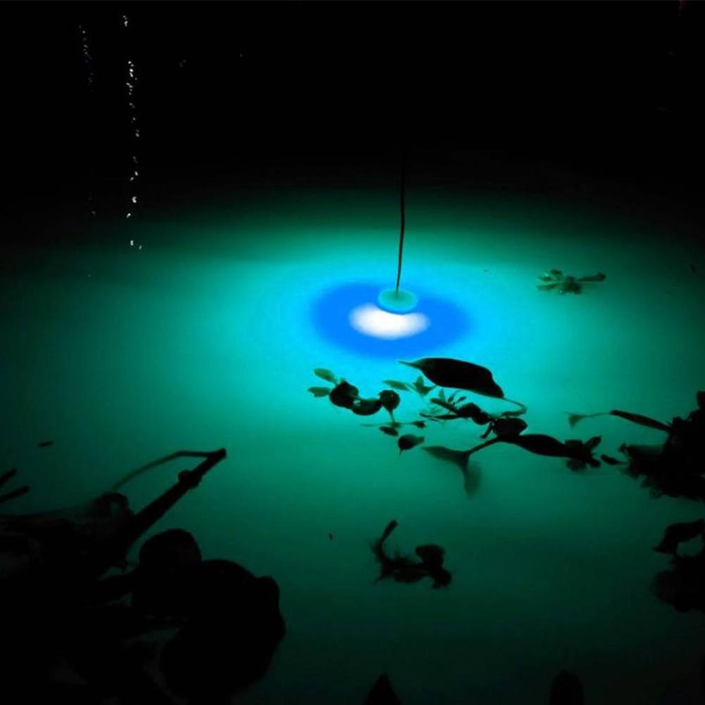 Underwater Fishing Light Fish  – Aquarium Fish Diseases recenzja i cena