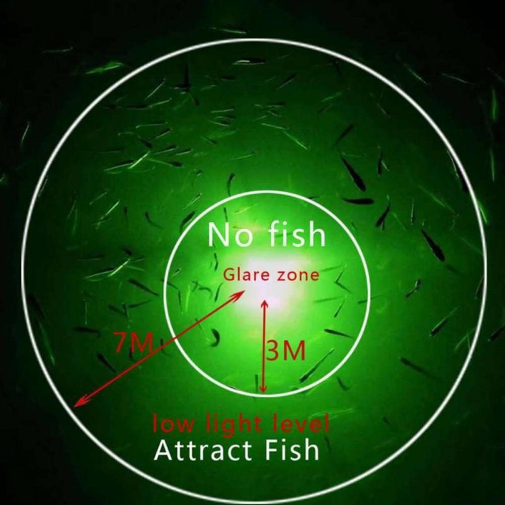 Underwater Fishing Light Fish  – Aquarium Fish Diseases recenzja i cena