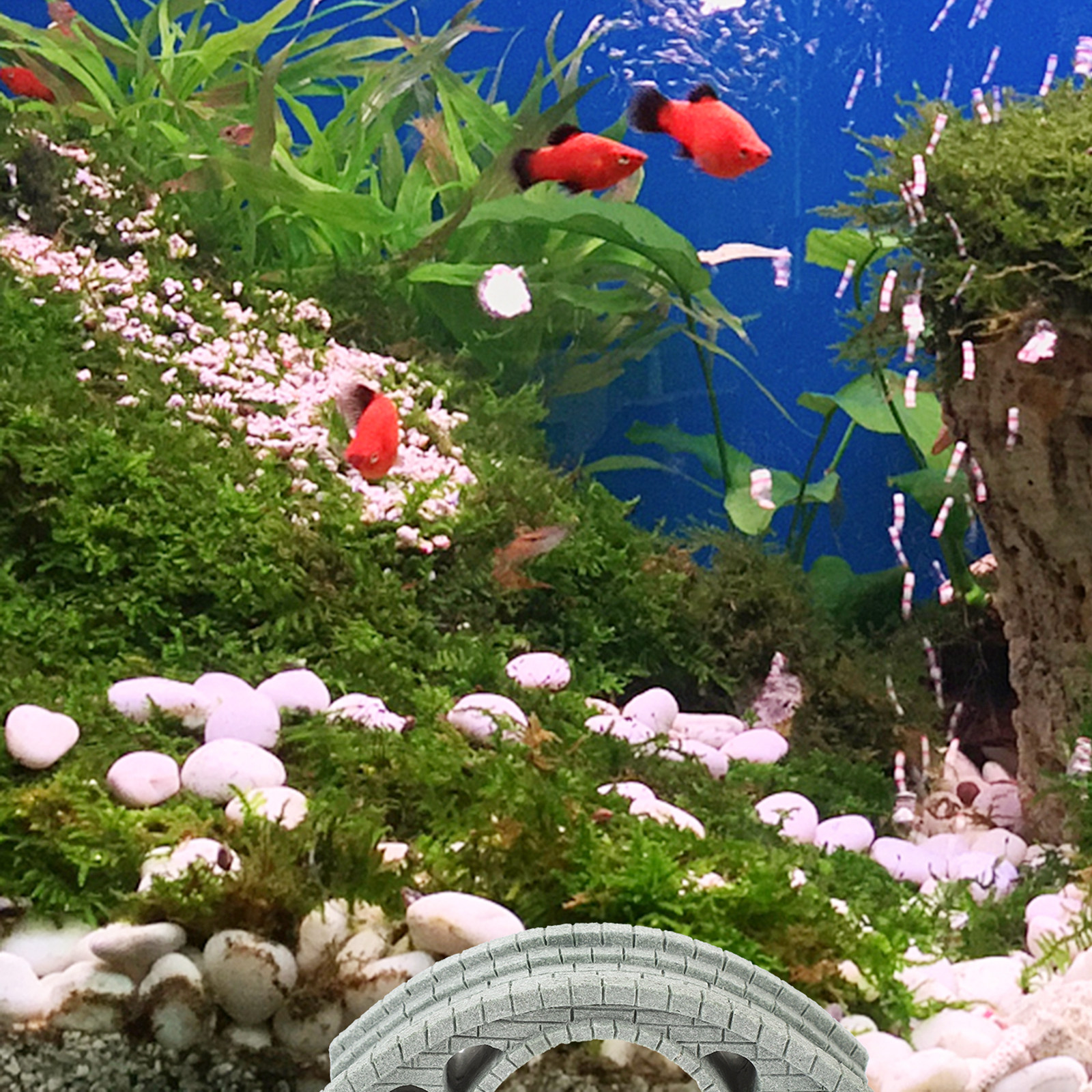 Exquisite Bridge Ornament for  – Aquarium Fish Bridge recenzja i cena