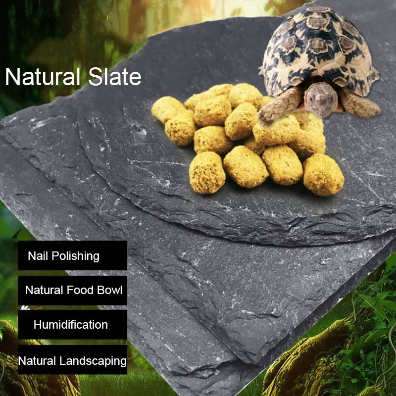 Natural Slate Aquarium Pet Rep – Aquarium Fish Feeder recenzja i cena