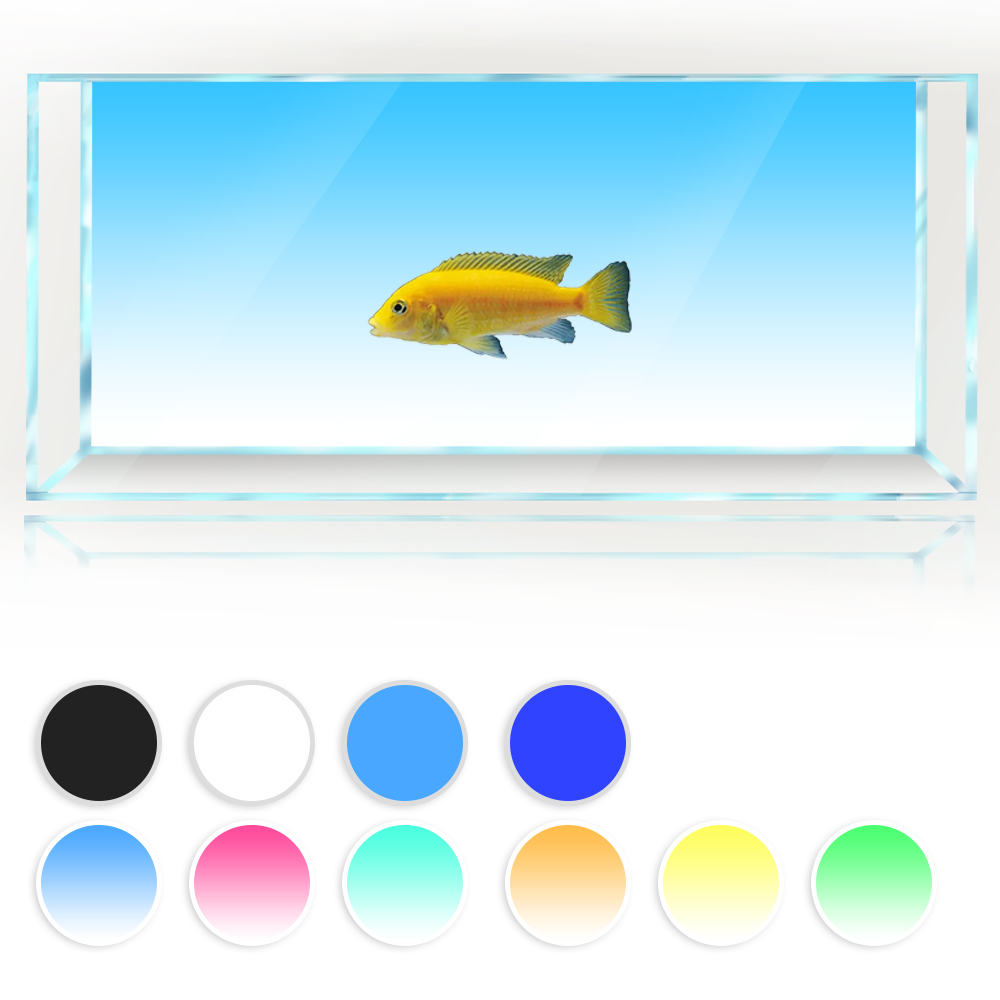 Fish Tank Background White Yel – Aquarium Fish Yellow And Black recenzja i cena