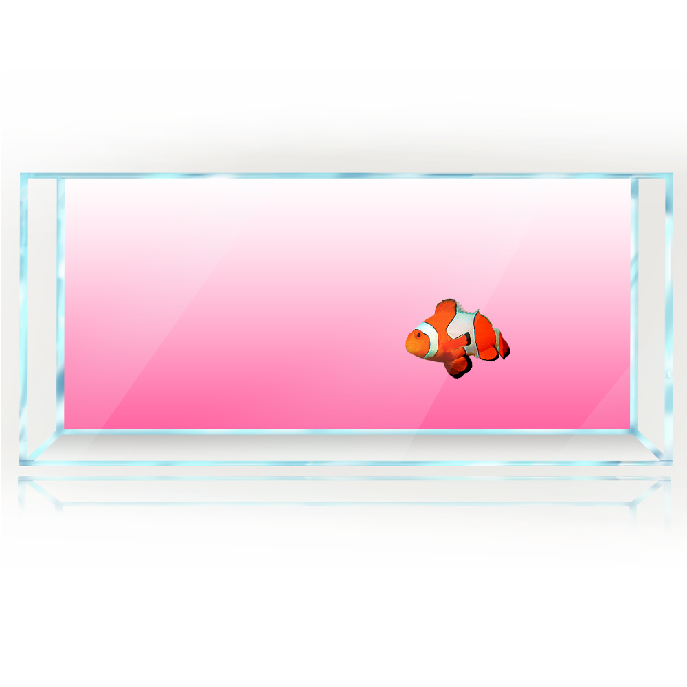 Fish Tank Background White Yel – Aquarium Fish Yellow And Black recenzja i cena