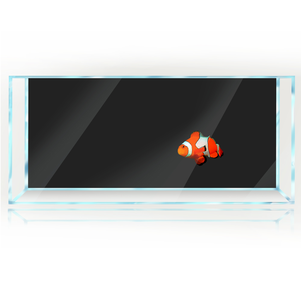 Fish Tank Background White Yel – Aquarium Fish Yellow And Black recenzja i cena
