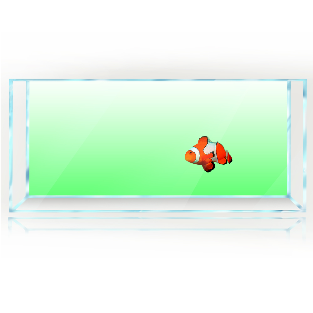 Fish Tank Background White Yel – Aquarium Fish Yellow And Black recenzja i cena