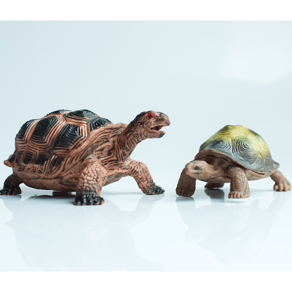 Painted Realistic Animal Turtl – Aquarium Fish Pot recenzja i cena