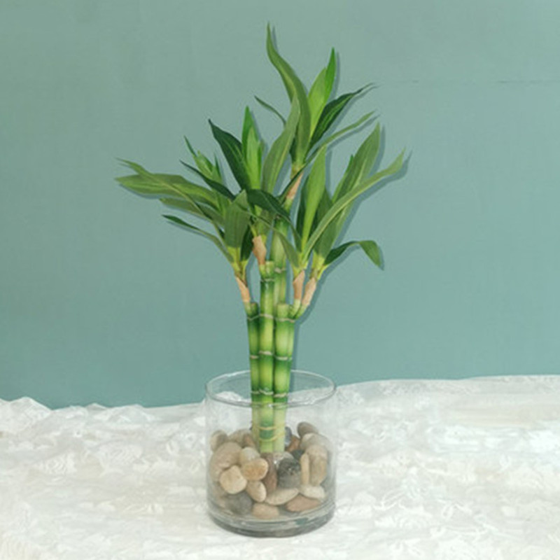 New 40cm rFtificial Lucky Bamb – Aquarium Fish Pot recenzja i cena