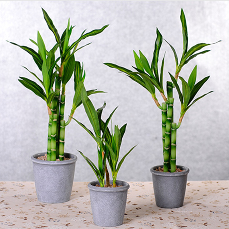 New 40cm rFtificial Lucky Bamb – Aquarium Fish Pot recenzja i cena