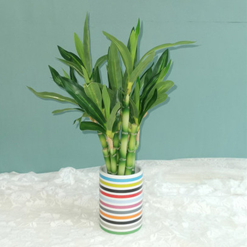 New 40cm rFtificial Lucky Bamb – Aquarium Fish Pot recenzja i cena