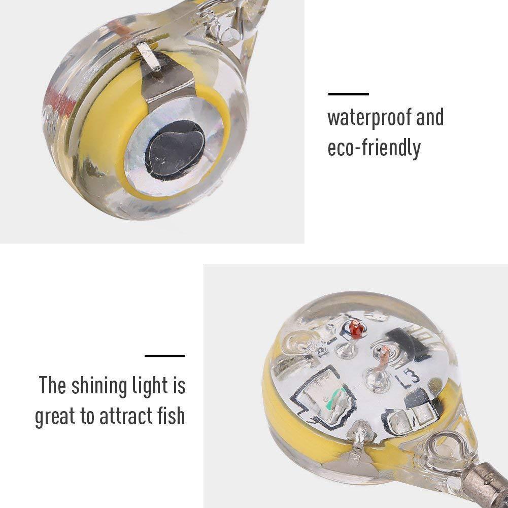 10pcs LED Attracting Fish Ligh – Aquarium Fish Diseases recenzja i cena