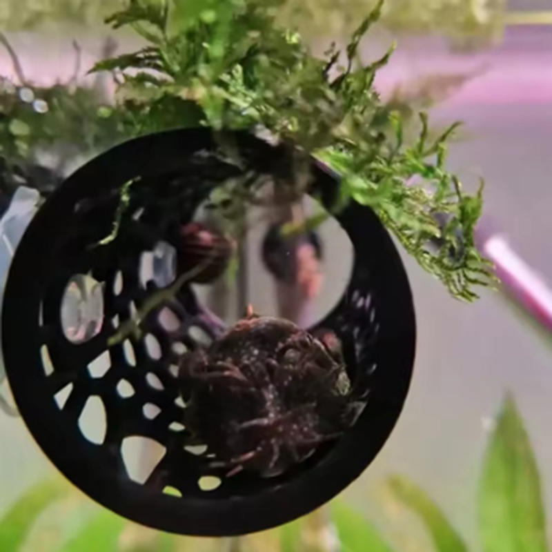 Aquarium Fish Tunnel Toys Bett – Aquarium Fish Feeder recenzja i cena