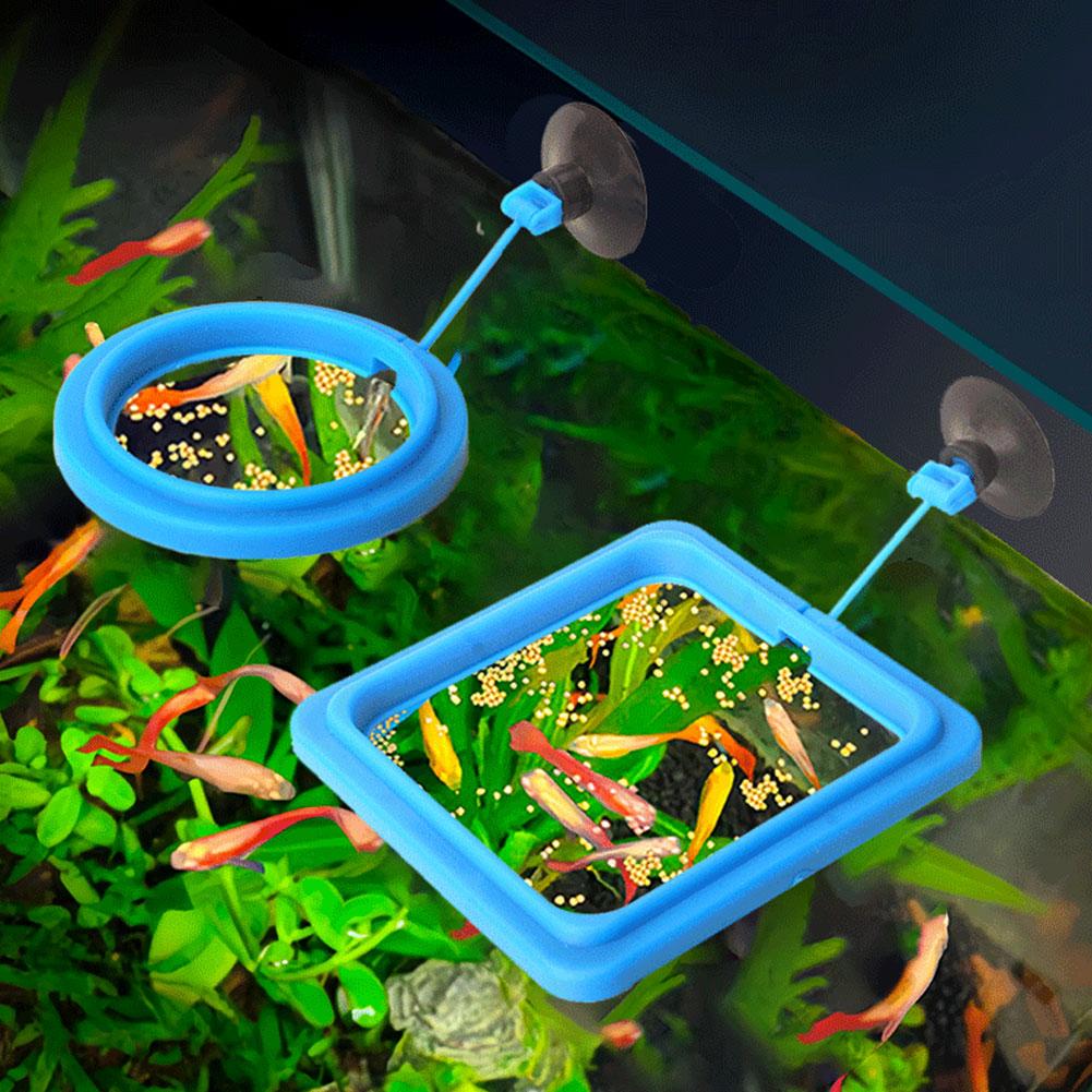 Aquarium Fish Feeding Ring Fis – Aquarium Fish Feeder recenzja i cena