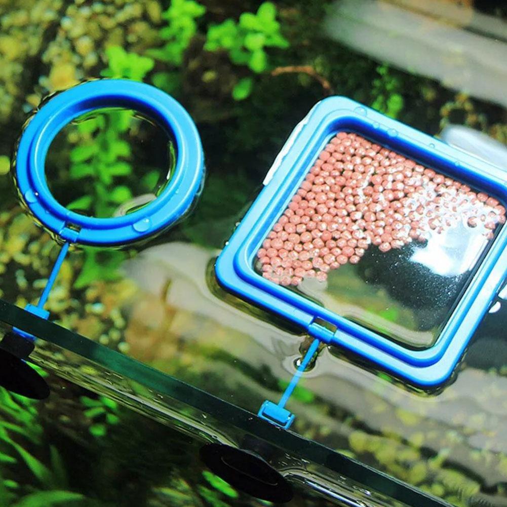 Aquarium Fish Feeding Ring Fis – Aquarium Fish Feeder recenzja i cena