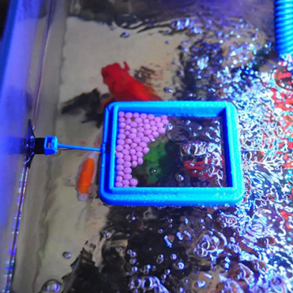 Aquarium Fish Feeding Ring Fis – Aquarium Fish Feeder recenzja i cena
