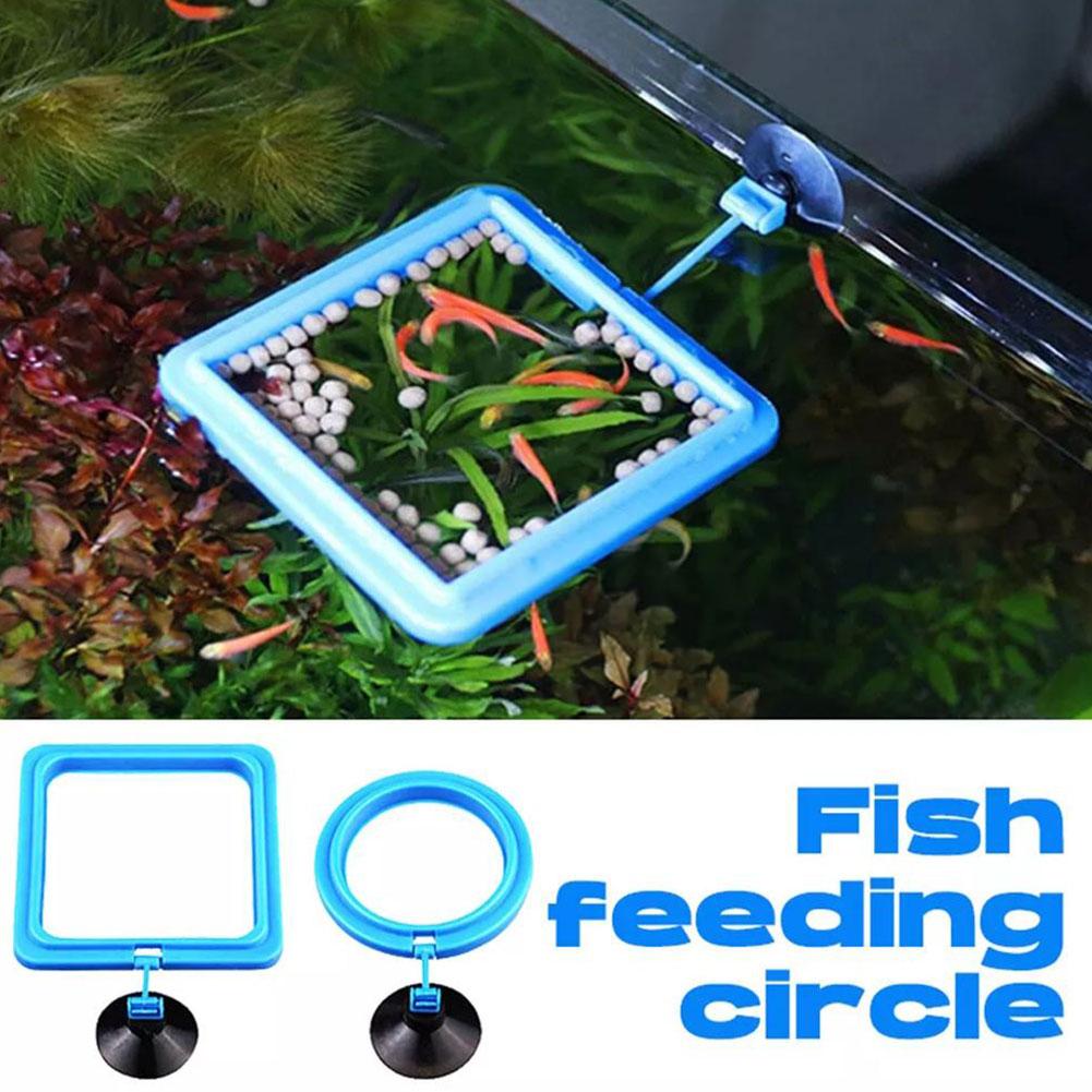 Aquarium Fish Feeding Ring Fis – Aquarium Fish Feeder recenzja i cena