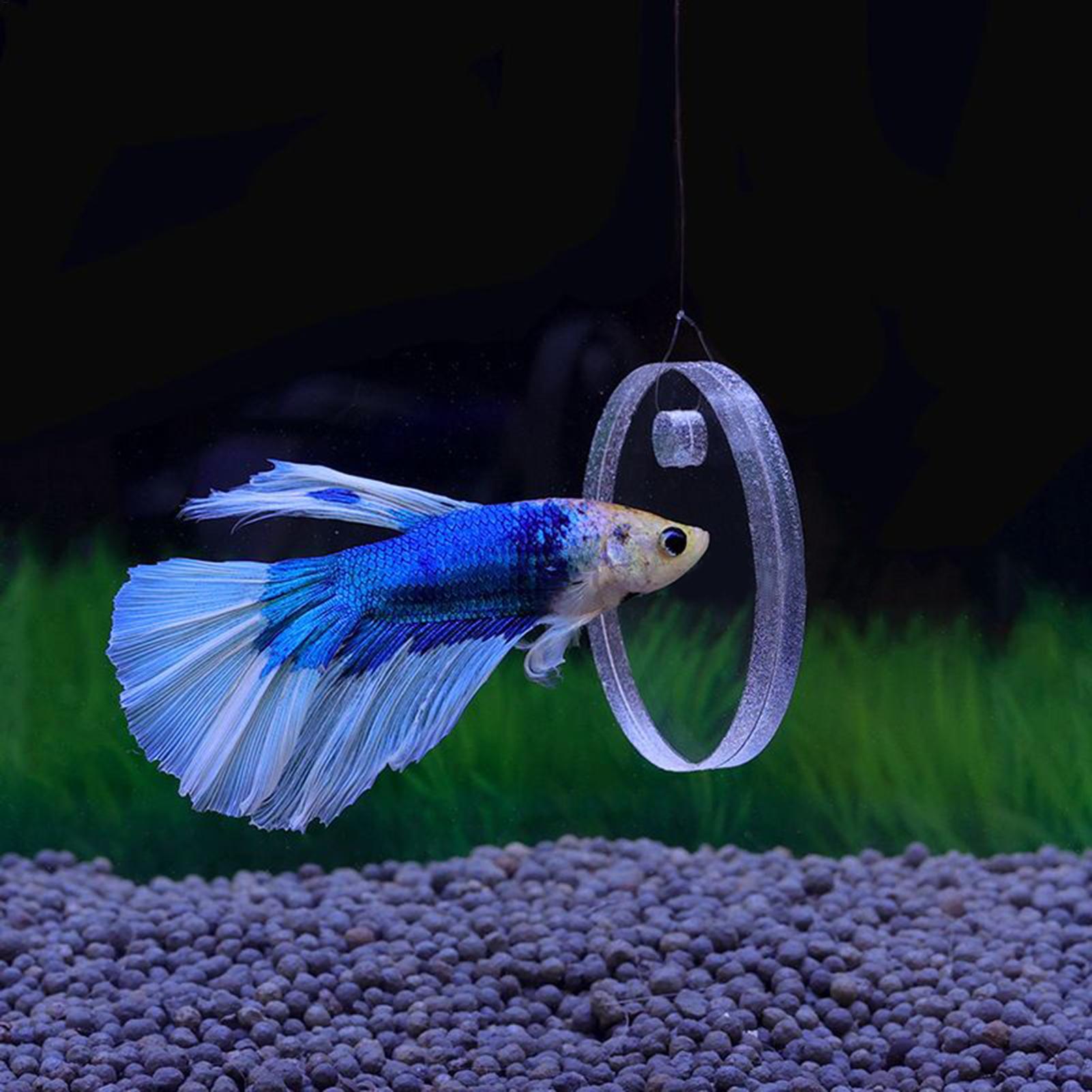 2Pcs Floating Feeding Ring Wit – Aquarium Fish Feeder recenzja i cena