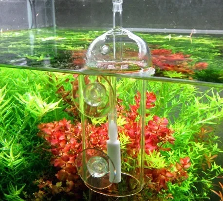 VIV Do Device Aquarium Cylinde – Aquarium Fish Store recenzja i cena