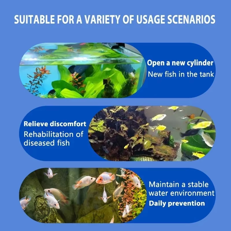 SIKEZHAN Fish Disease Treatmen – Aquarium Fish Diseases recenzja i cena