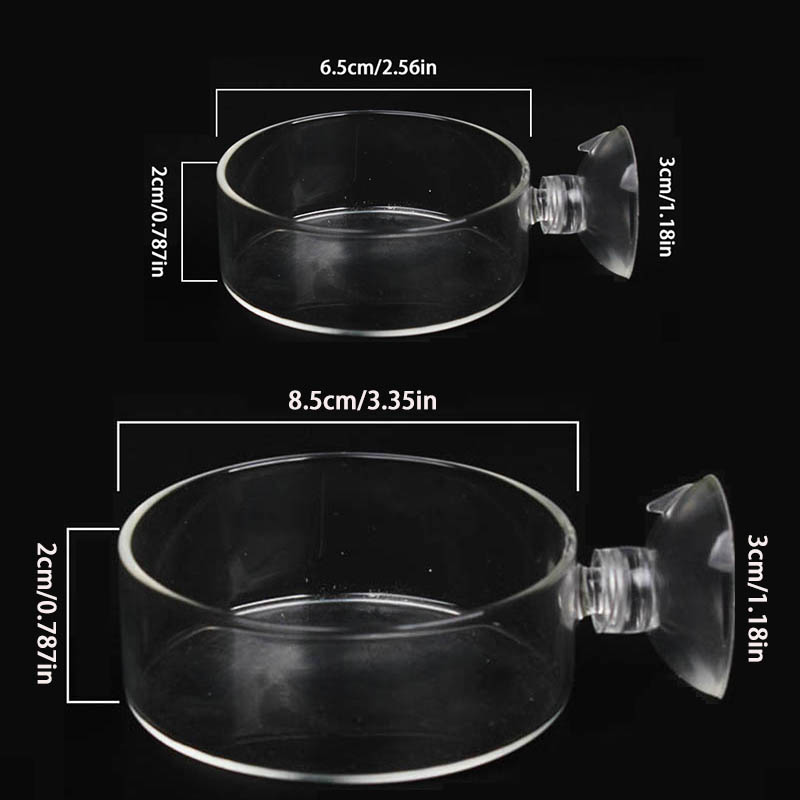 Transparent Acrylic Transparen – Aquarium Fish Holiday Food recenzja i cena