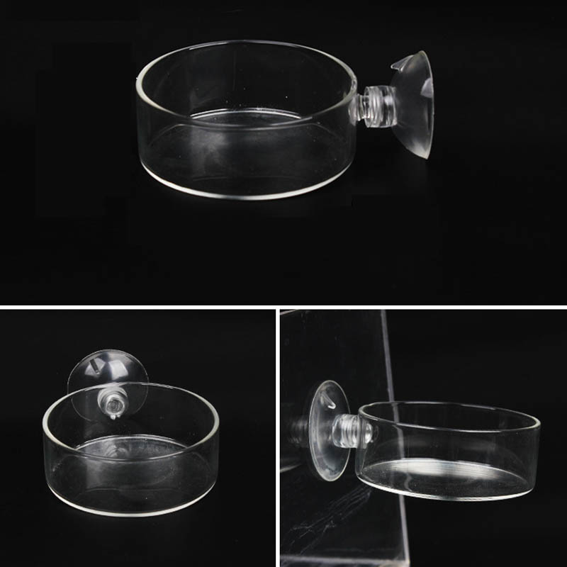 Transparent Acrylic Transparen – Aquarium Fish Holiday Food recenzja i cena