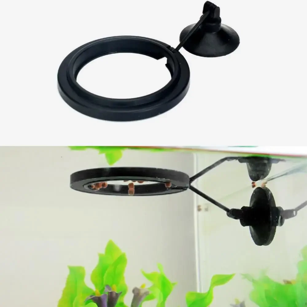 Feed Suction Cup Aquarium Feed – Aquarium Fish Feeder recenzja i cena