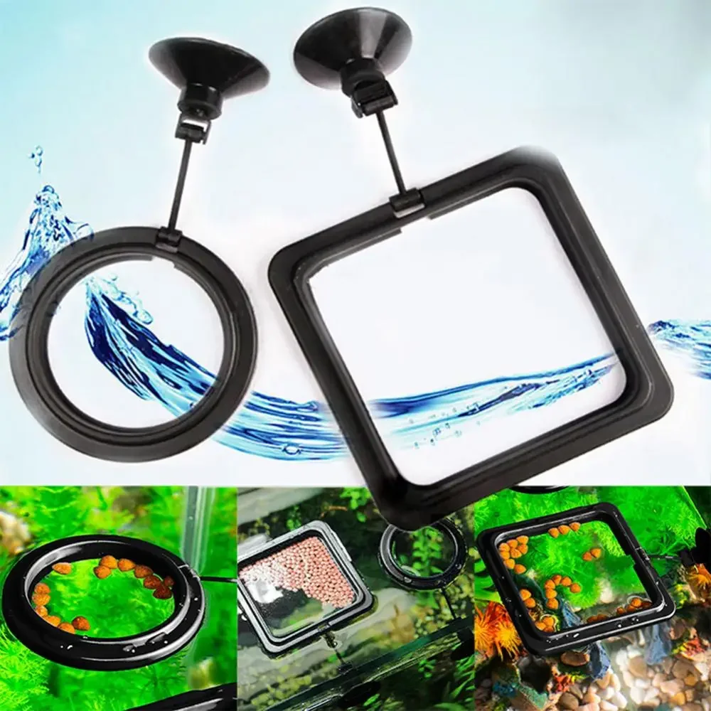 Feed Suction Cup Aquarium Feed – Aquarium Fish Feeder recenzja i cena