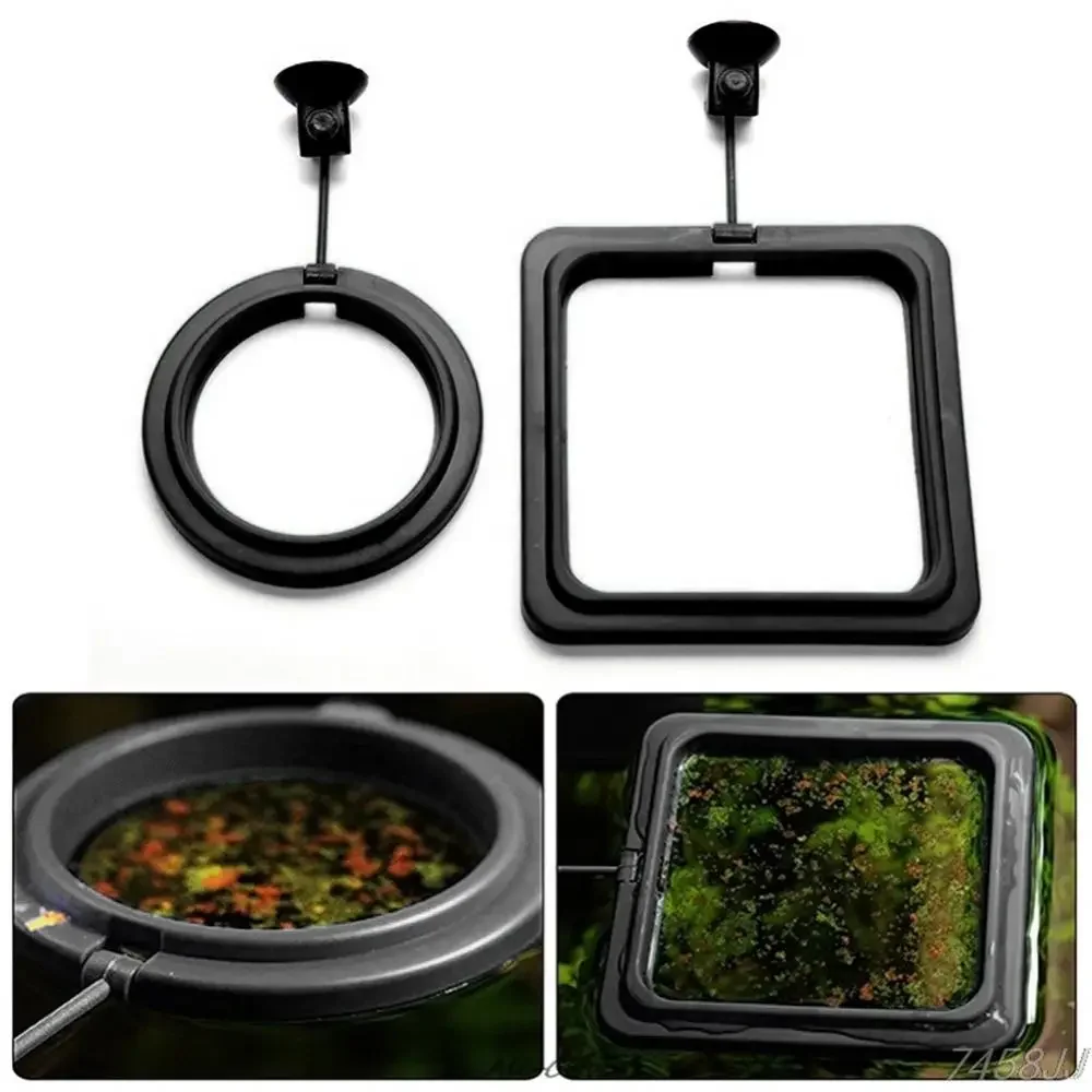 Feed Suction Cup Aquarium Feed – Aquarium Fish Feeder recenzja i cena