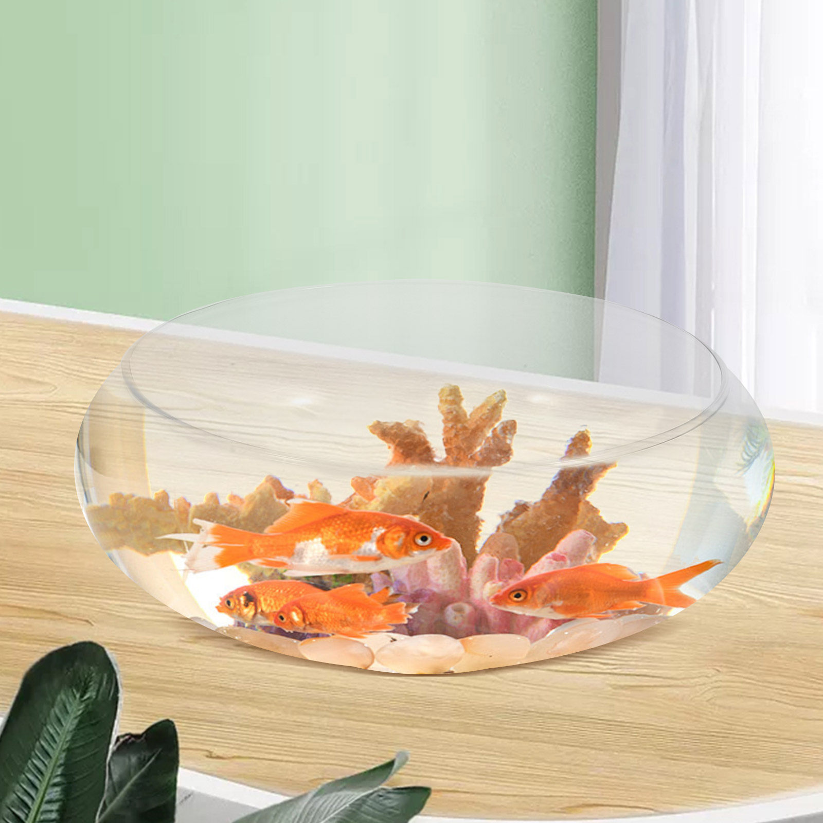 Glass Round Fish Bowl Desktop  – Aquarium Fish Pot recenzja i cena