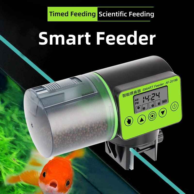 Fish Tank Automatic Feeder Tim – Aquarium Fish Auto Feeder recenzja i cena