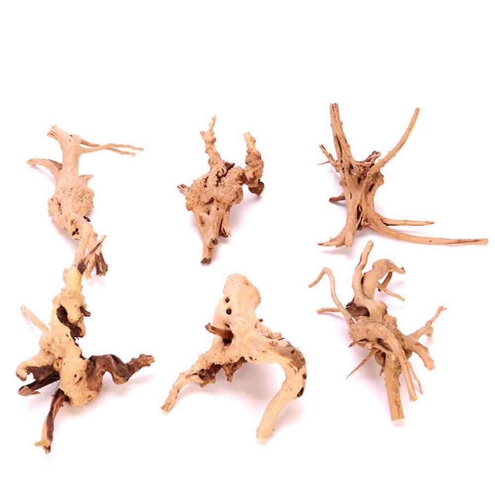 1 Pcs Wood Reptile Fish Tank O – Aquarium Fish Diseases recenzja i cena