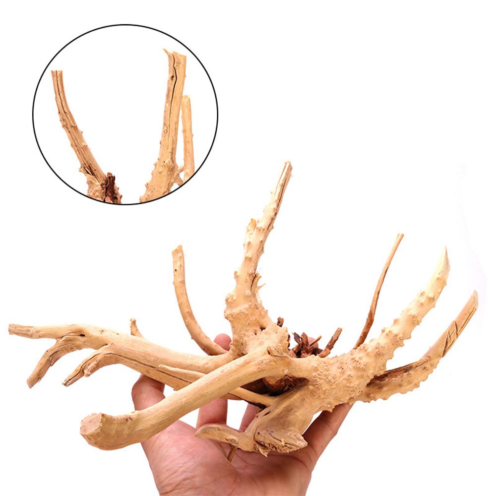 1 Pcs Wood Reptile Fish Tank O – Aquarium Fish Diseases recenzja i cena