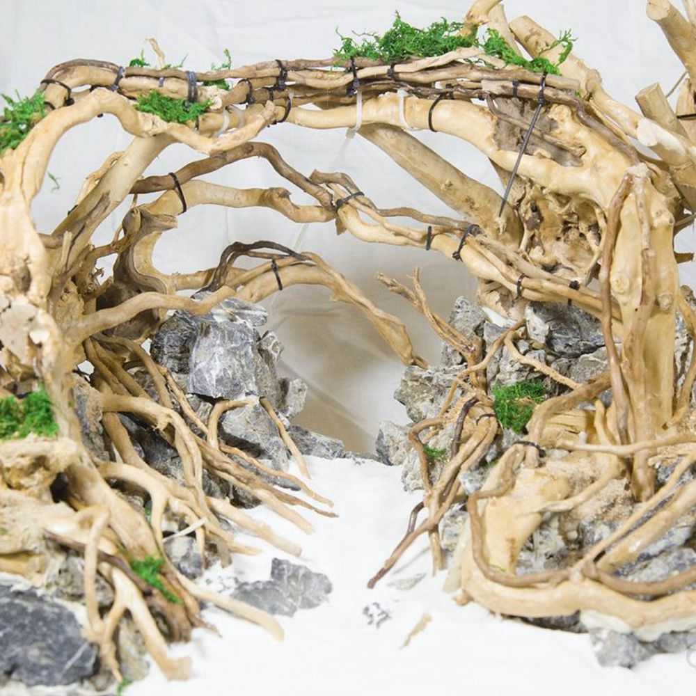 1 Pcs Wood Reptile Fish Tank O – Aquarium Fish Diseases recenzja i cena