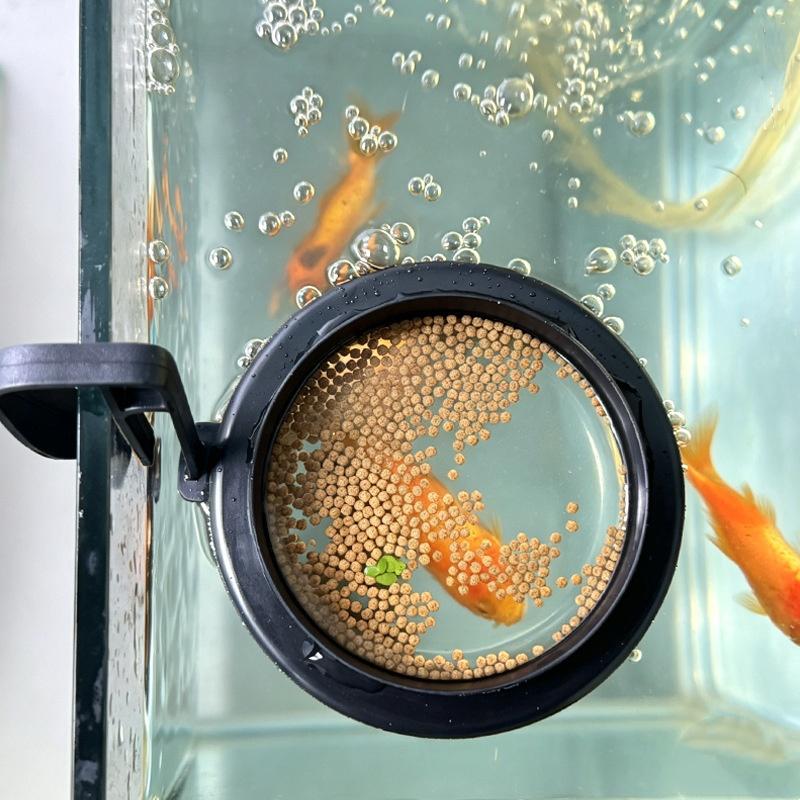 C 1/2/5Pcs Aquarium Feeding Ri – Aquarium Fish Feeder recenzja i cena