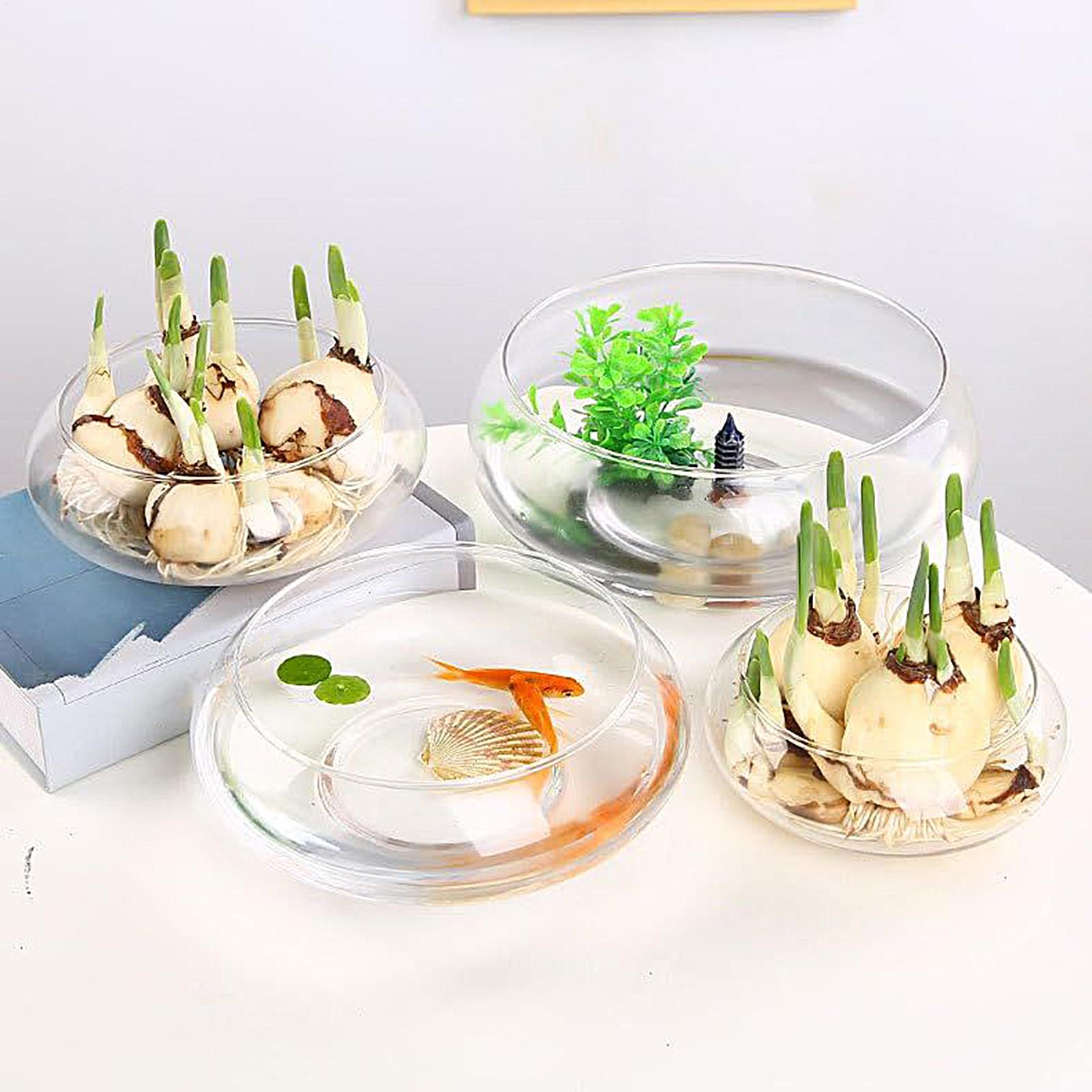 Fish Glass Bowl Glass Large Hy – Aquarium Fish Pot recenzja i cena