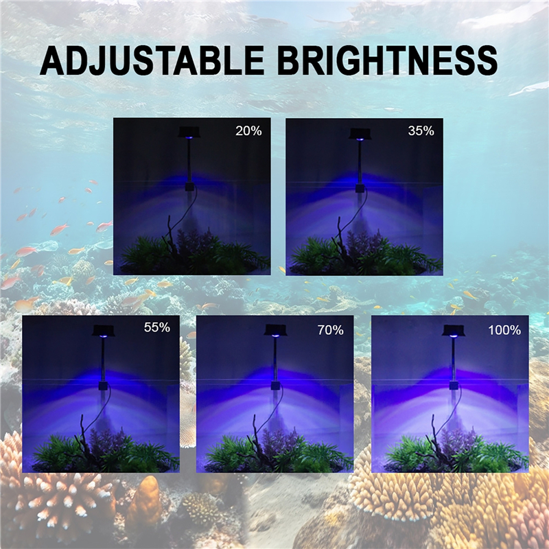 30W Aquarium Fish Tank Sea Wat – Aquarium Fish Light Lamp recenzja i cena