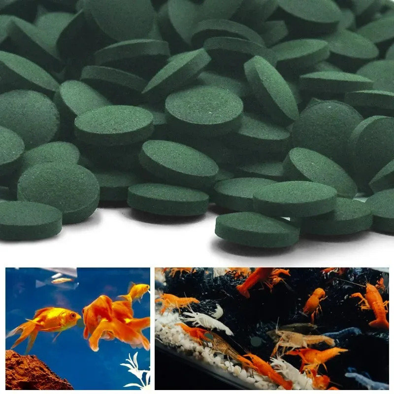 50/100/300/500pcs Spirulina Ta – Aquarium Fish Holiday Food recenzja i cena