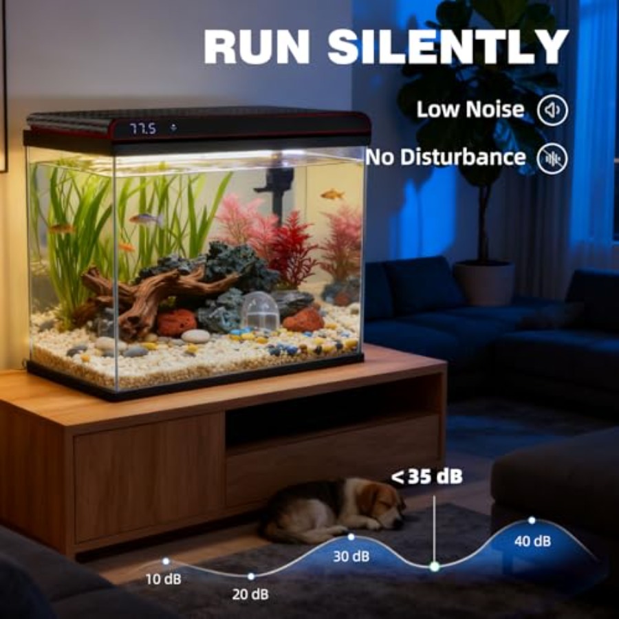 20 Gallon Glass Fish Tank for  – Fish Toy In Aquarium recenzja i cena