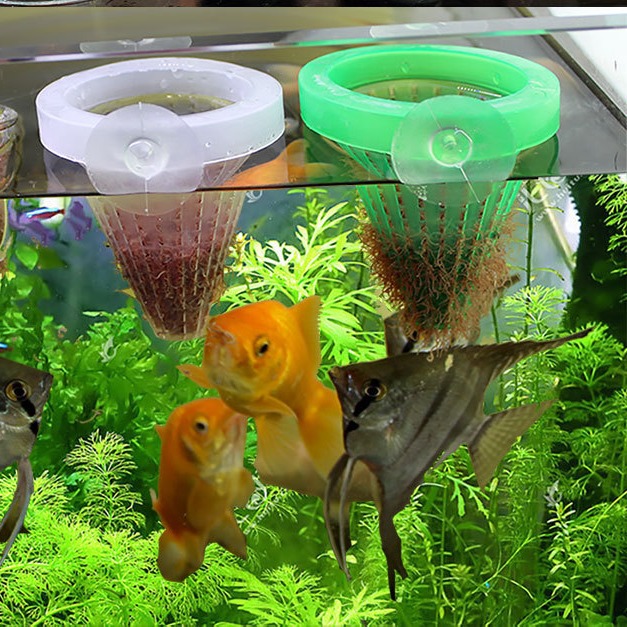 5Pcs Aquarium Red Worm Feeder  – Aquarium Fish Feeder recenzja i cena