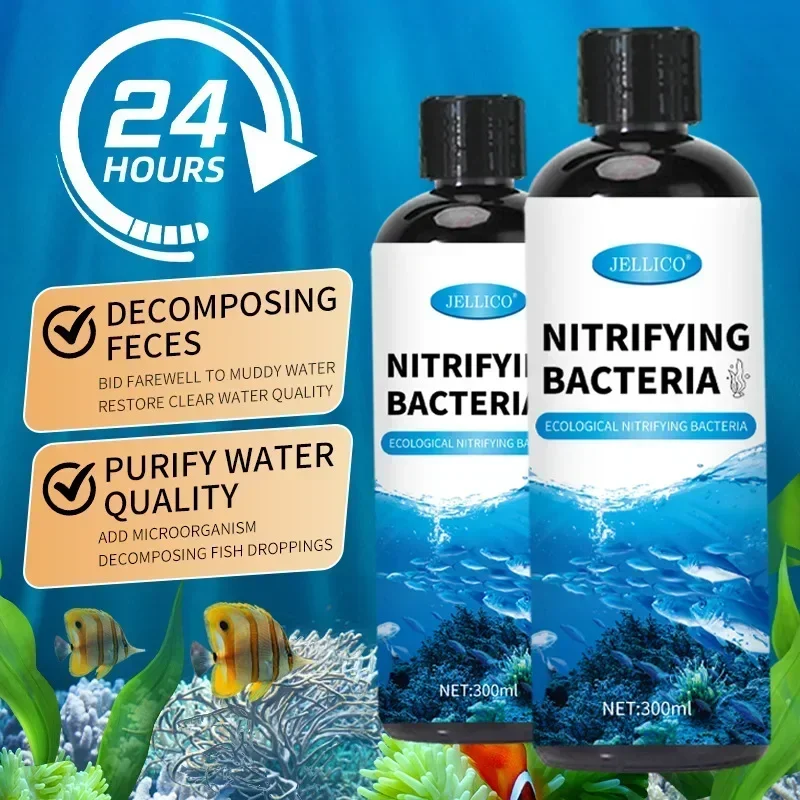 300ml Nitrifying Bacteria Liqu – Aquarium Fish Diseases recenzja i cena