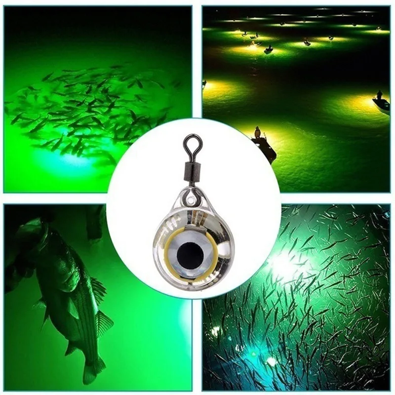 Night Fishing LED Underwater L – Aquarium Fish Diseases recenzja i cena