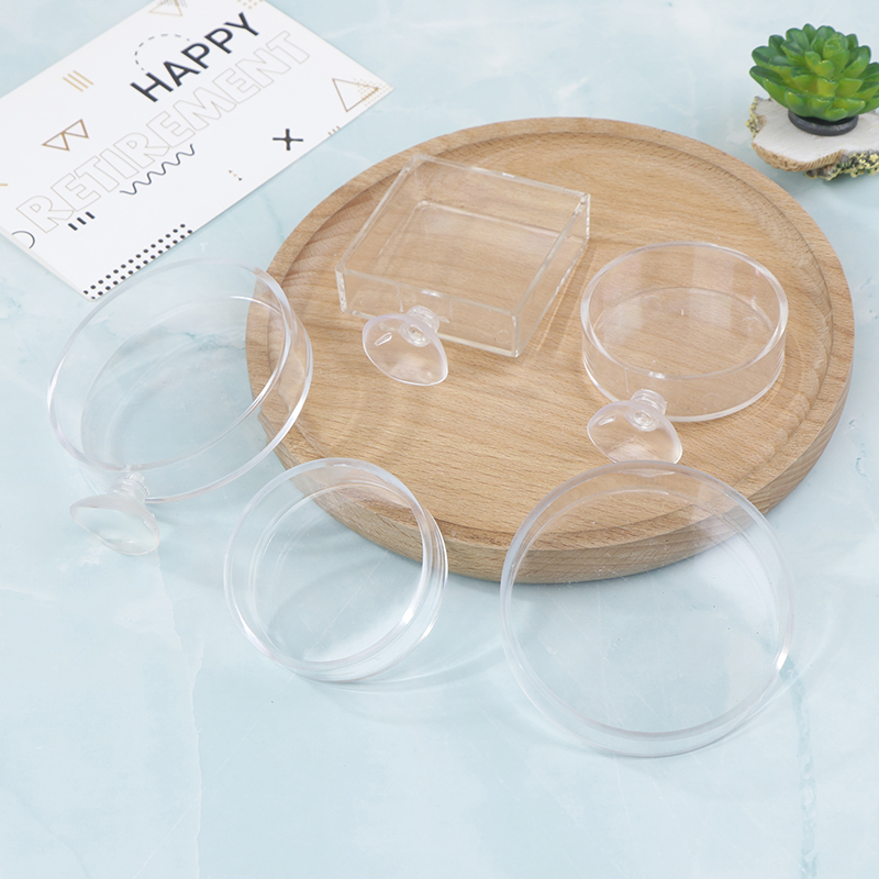 C Aquarium Feeder Acrylic Tran – Aquarium Fish Feeder recenzja i cena