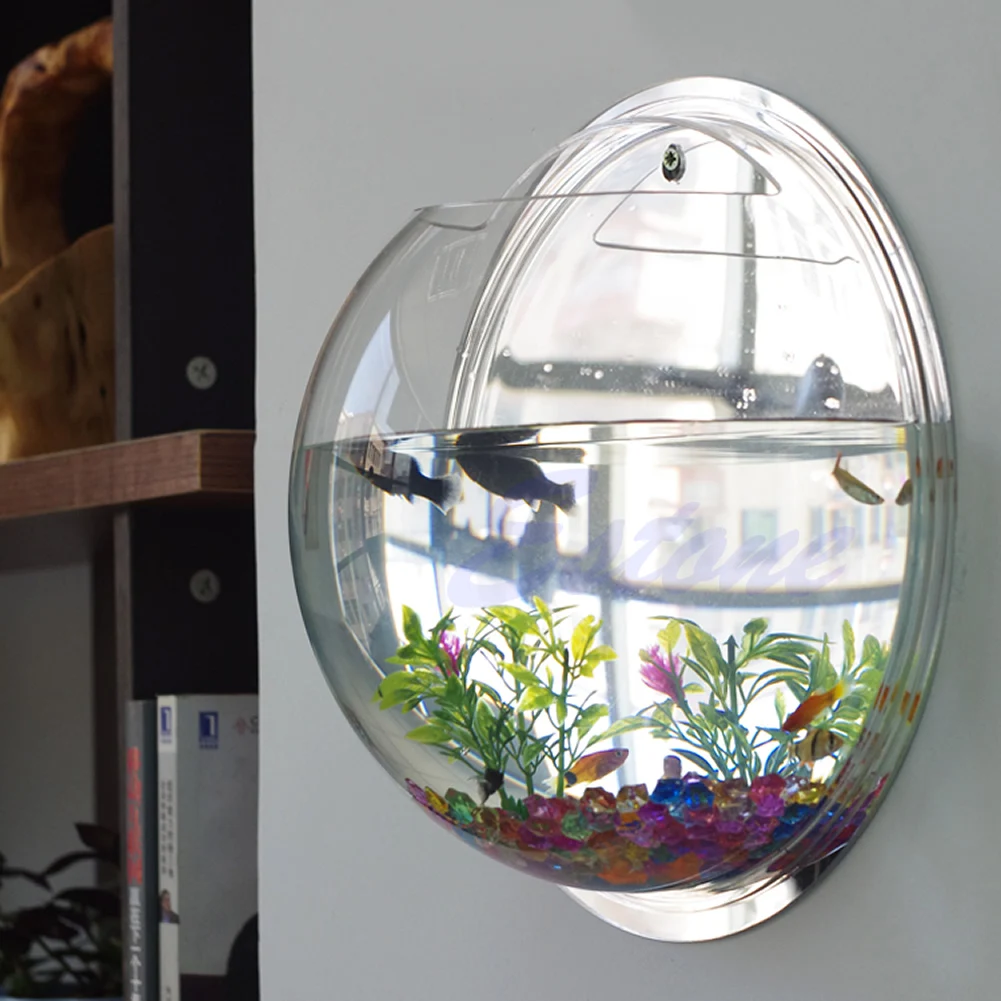 Pot Wall Hanging Mount Bubble  – Aquarium Fish Pot recenzja i cena