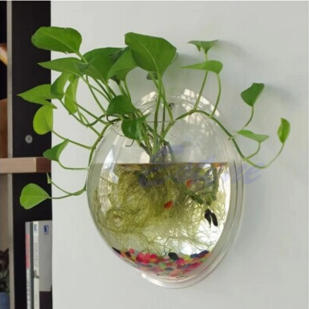 Pot Wall Hanging Mount Bubble  – Aquarium Fish Pot recenzja i cena