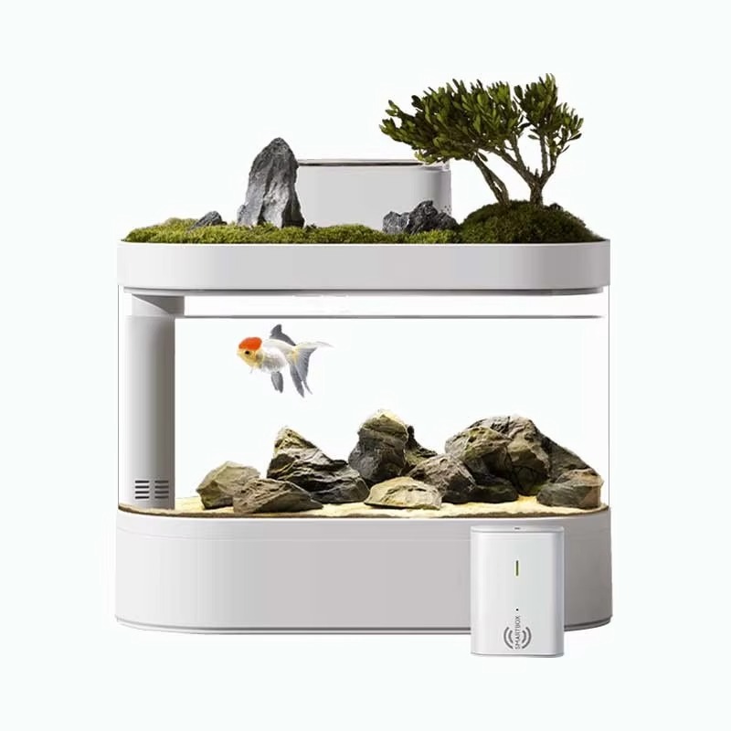 Desktop Smart Aquarium Fish Ta – Aquarium Fish Feeder recenzja i cena