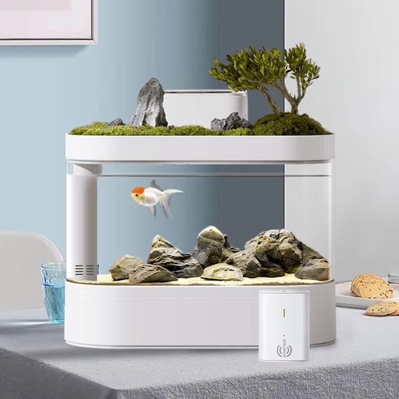 Desktop Smart Aquarium Fish Ta – Aquarium Fish Feeder recenzja i cena